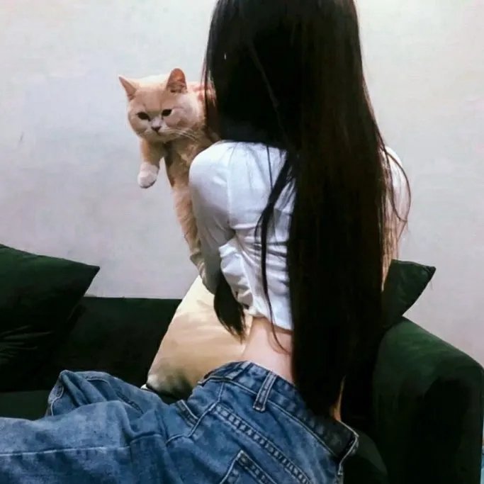 看她轻轻的飞起